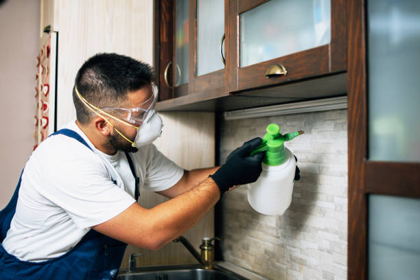 Best Affordable Pest Control Services  in Westworth Village, TX