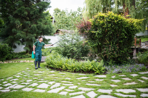 Best Best Pest Control Companies  in Westworth Village, TX