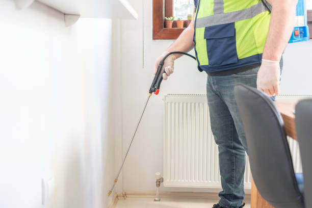 Best Wasp Removal Services  in Westworth Village, TX