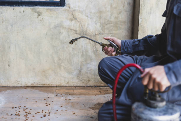 Best Termite Control Services  in Westworth Village, TX